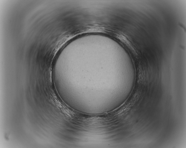 X0000100401268200806201728