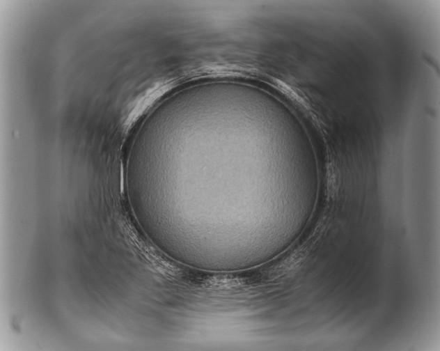 X0000100401269200806201728