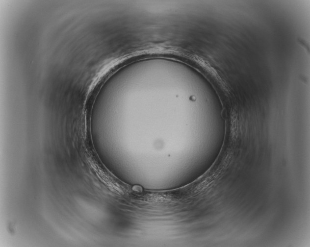 X0000100401270200806201728