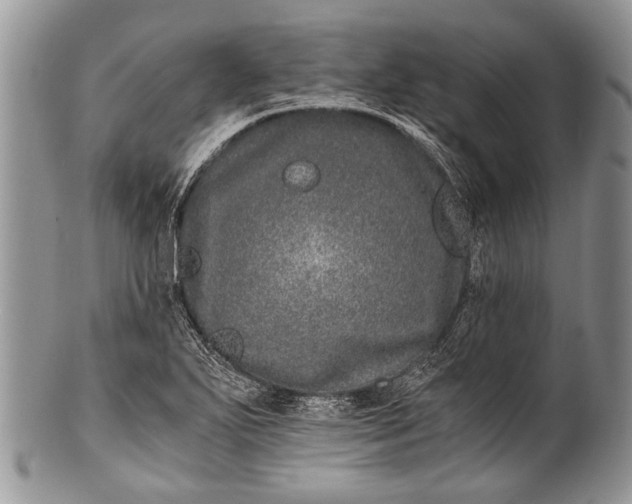 X0000100401271200806201728
