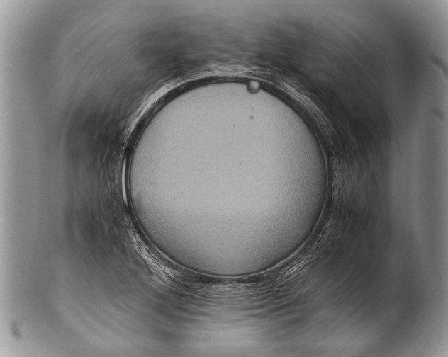 X0000100401272200806201728