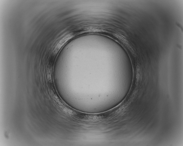 X0000100401273200806201728
