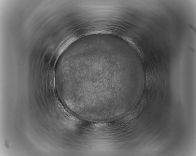 X0000100401274200806201728