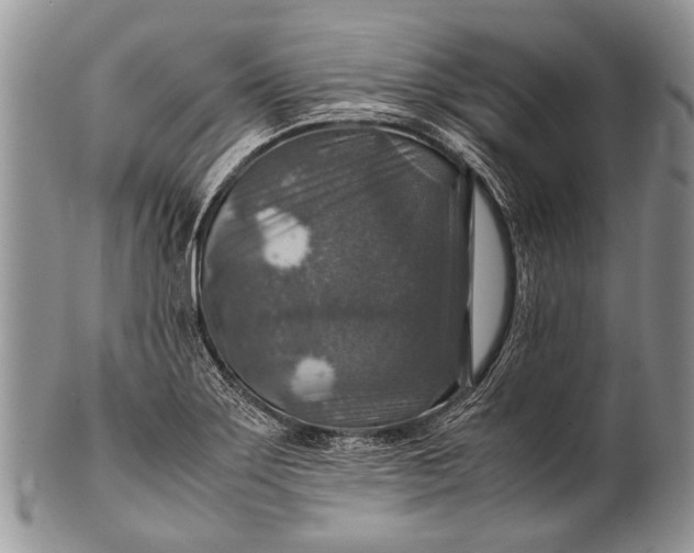 X0000100401275200806201728