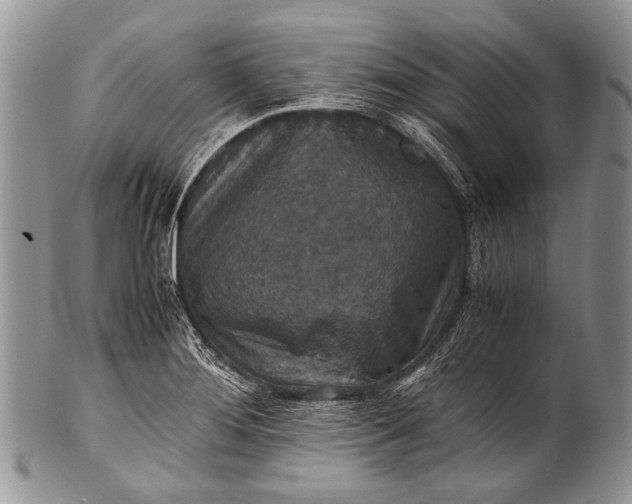 X0000100401276200806201728