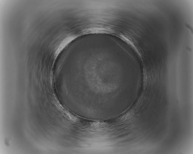 X0000100401277200806201728