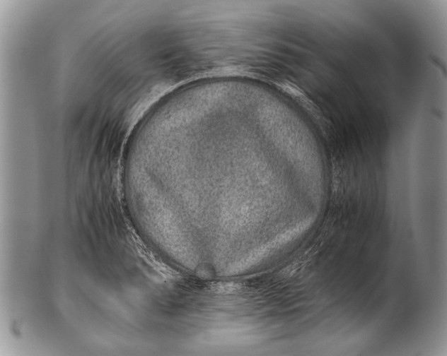 X0000100401278200806201728