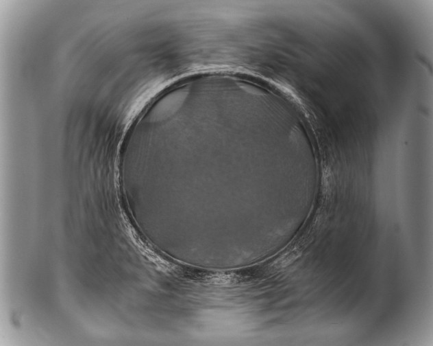 X0000100401279200806201728