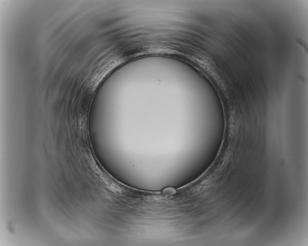 X0000100401281200806201728