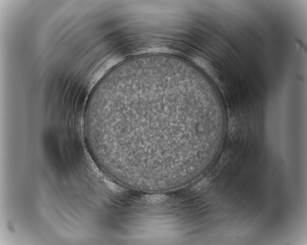 X0000100401282200806201728