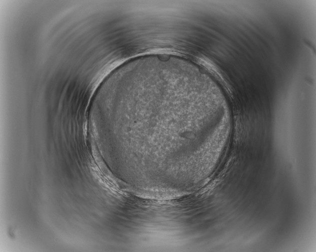 X0000100401284200806201728