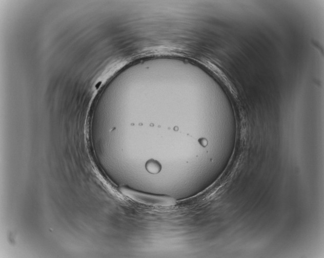 X0000100401285200806201728