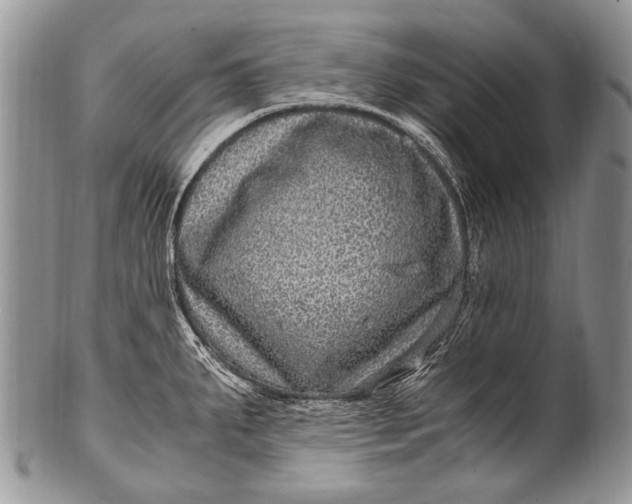 X0000100401287200806201728