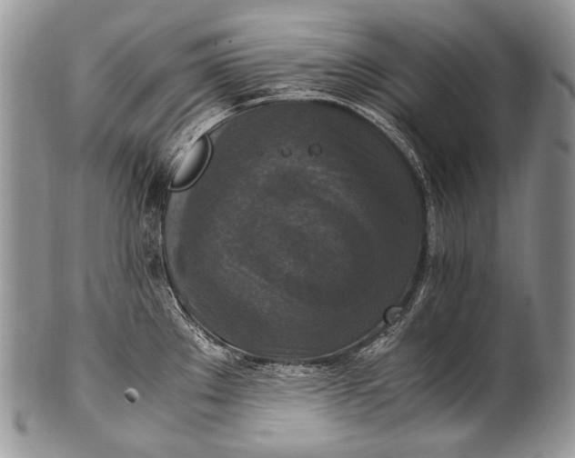 X0000100401289200806201728
