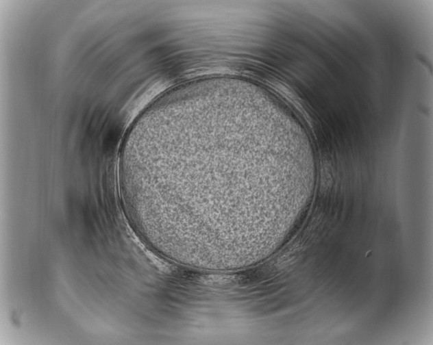 X0000100401290200806201728