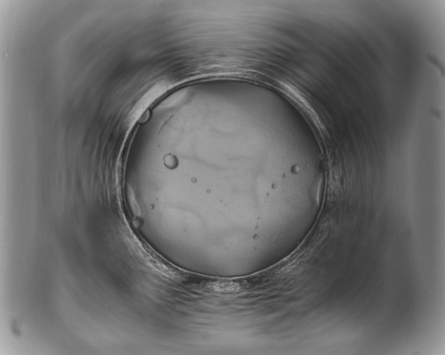 X0000100401291200806201728