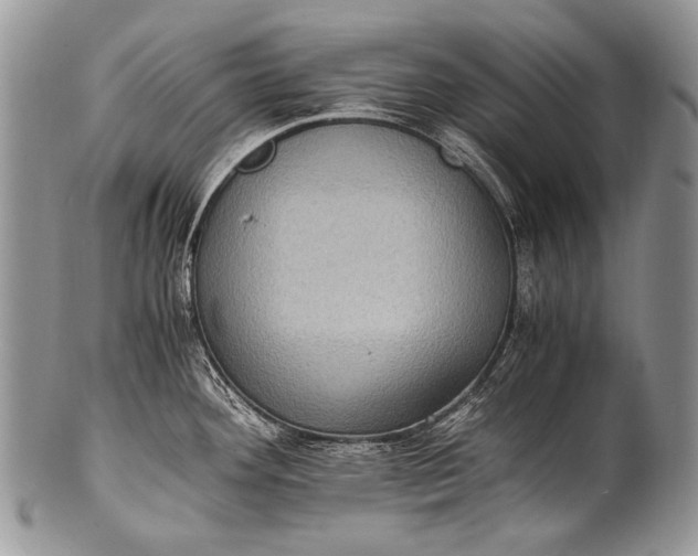 X0000100401292200806201728