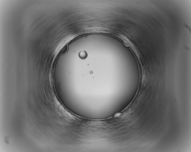 X0000100401293200806201728