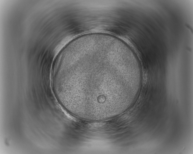 X0000100401294200806201728