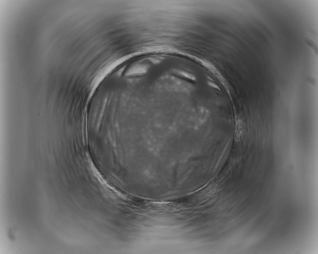X0000100401295200806201728