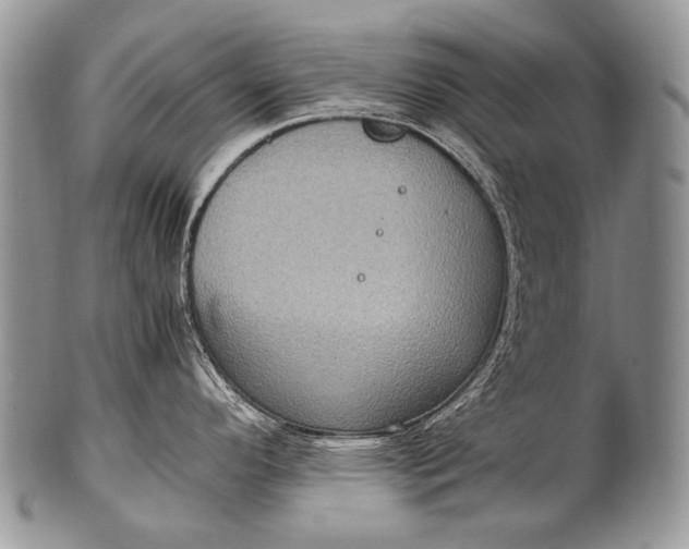 X0000100401296200806201728