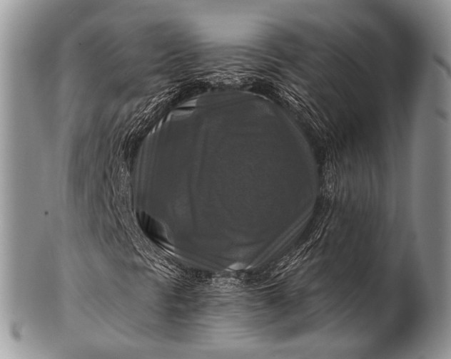 X0000100401297200806201727