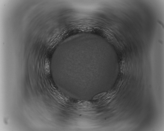 X0000100401298200806201727