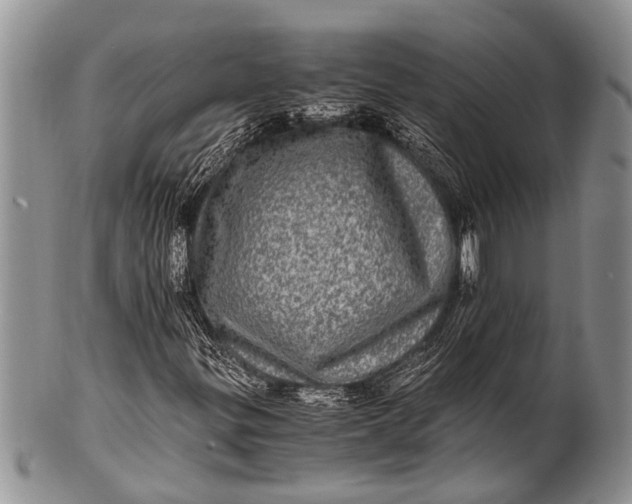 X0000100401299200806201727