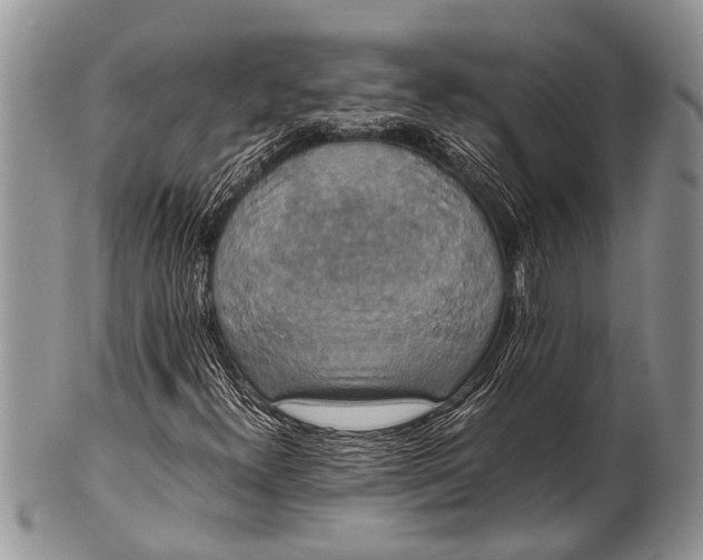 X0000100401300200806201727