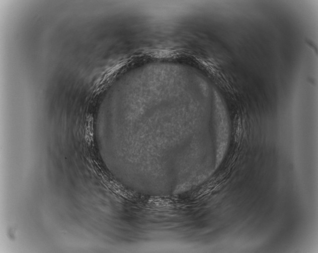 X0000100401301200806201727