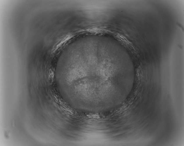 X0000100401302200806201727