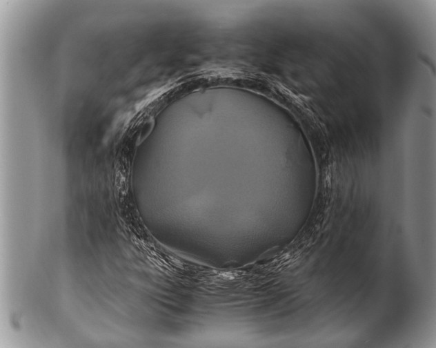 X0000100401303200806201727