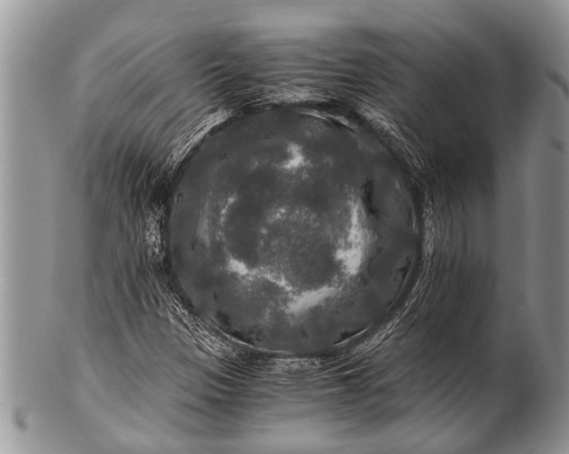 X0000100401305200806201727