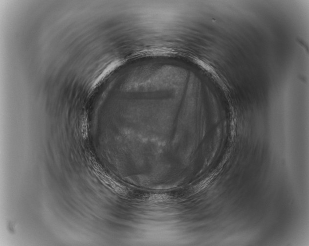 X0000100401306200806201727