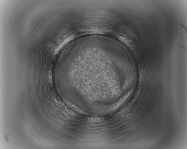 X0000100401307200806201727