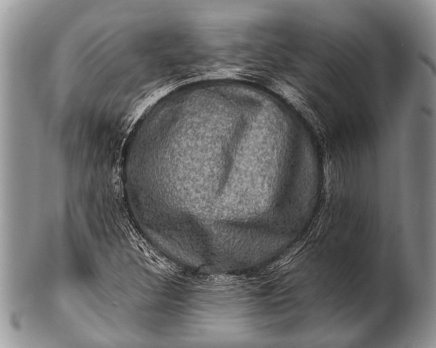 X0000100401308200806201727