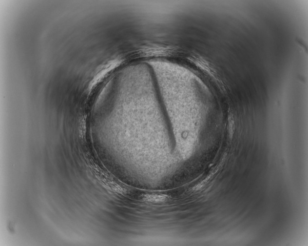 X0000100401309200806201727