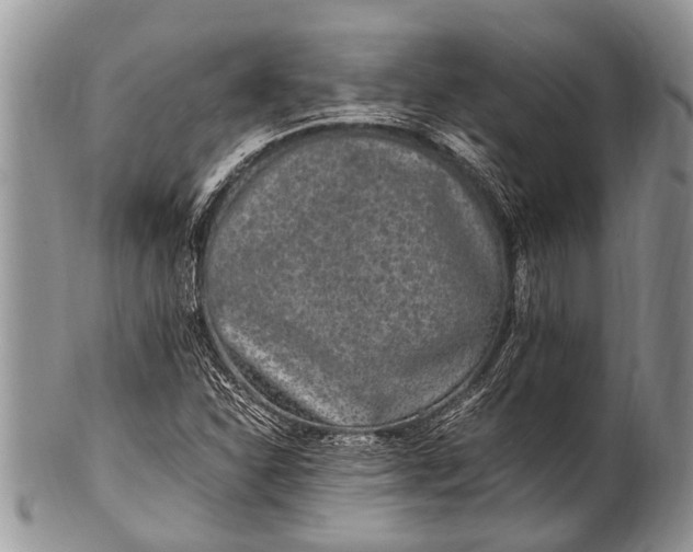 X0000100401310200806201727