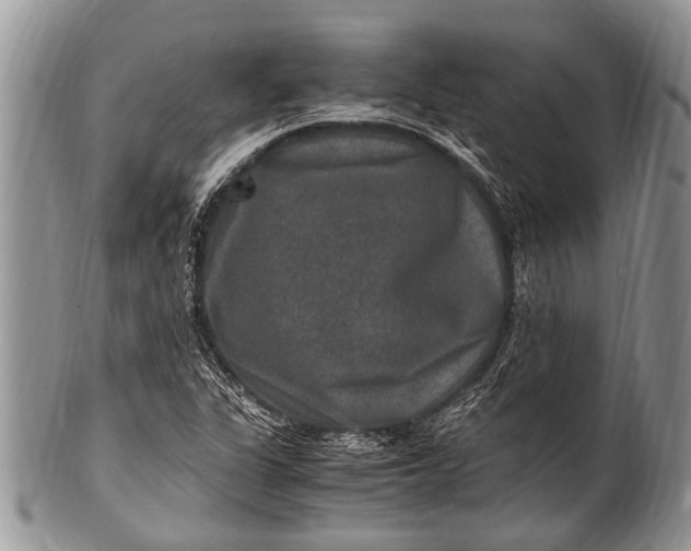 X0000100401311200806201727