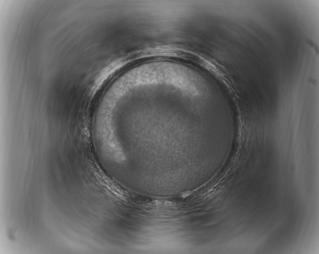 X0000100401312200806201727
