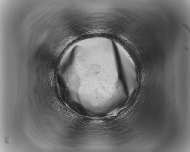 X0000100401313200806201727