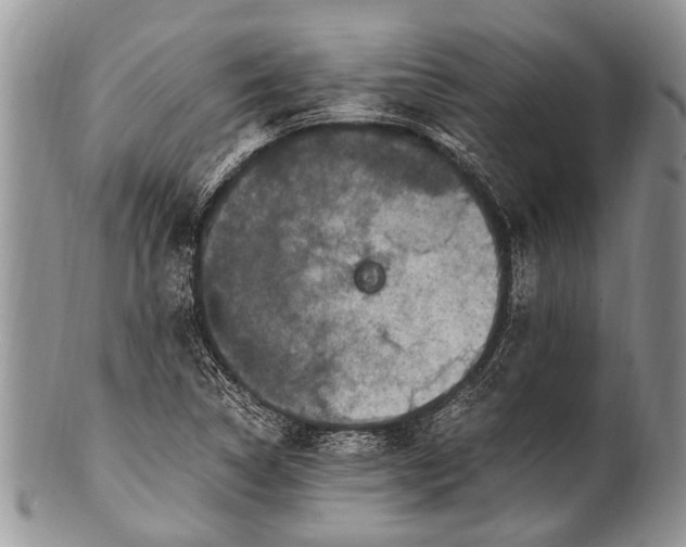 X0000100401314200806201727