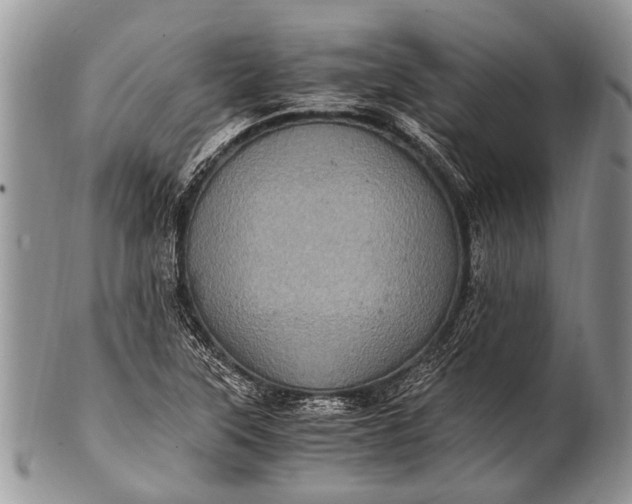 X0000100401315200806201727