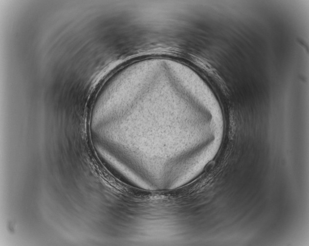 X0000100401316200806201727