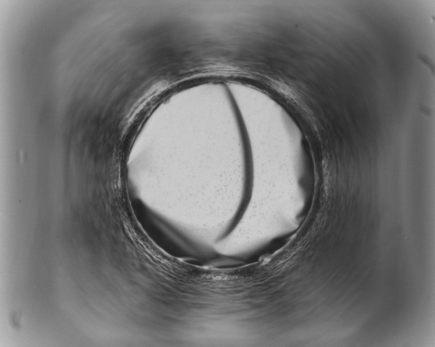 X0000100401318200806201727