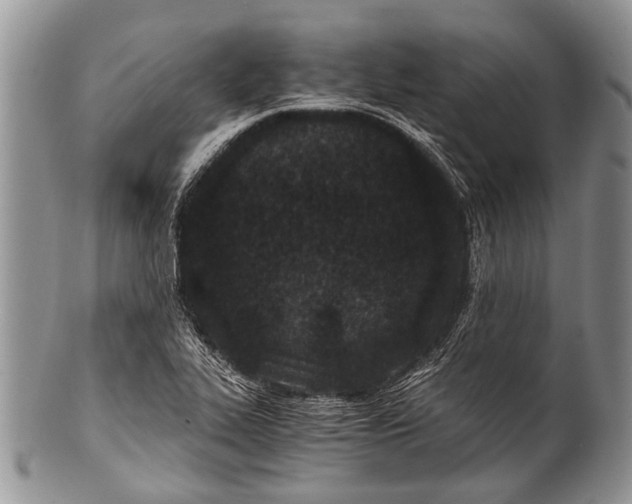 X0000100401319200806201727
