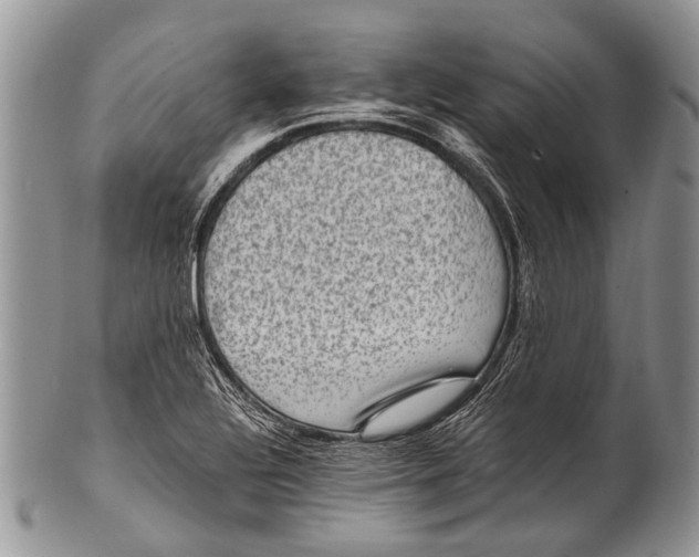 X0000100401320200806201727