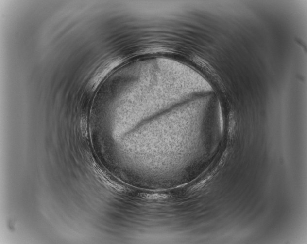 X0000100401321200806201727