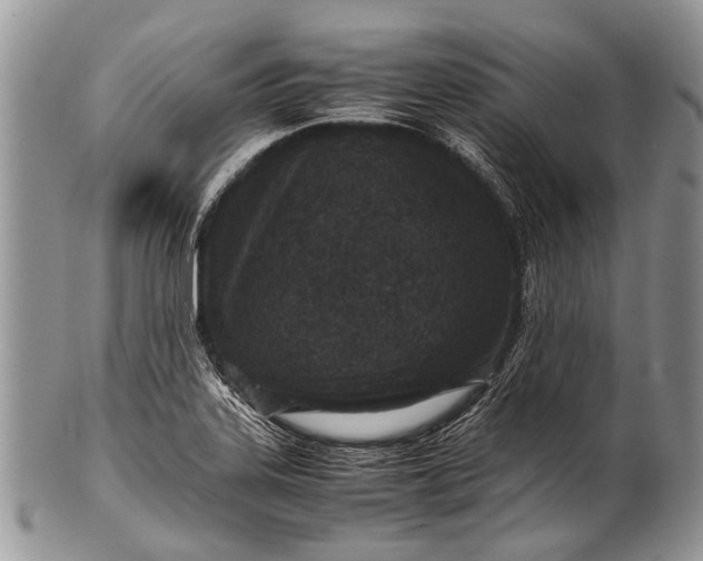 X0000100401323200806201727