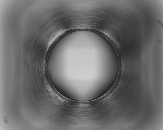 X0000100401325200806201727
